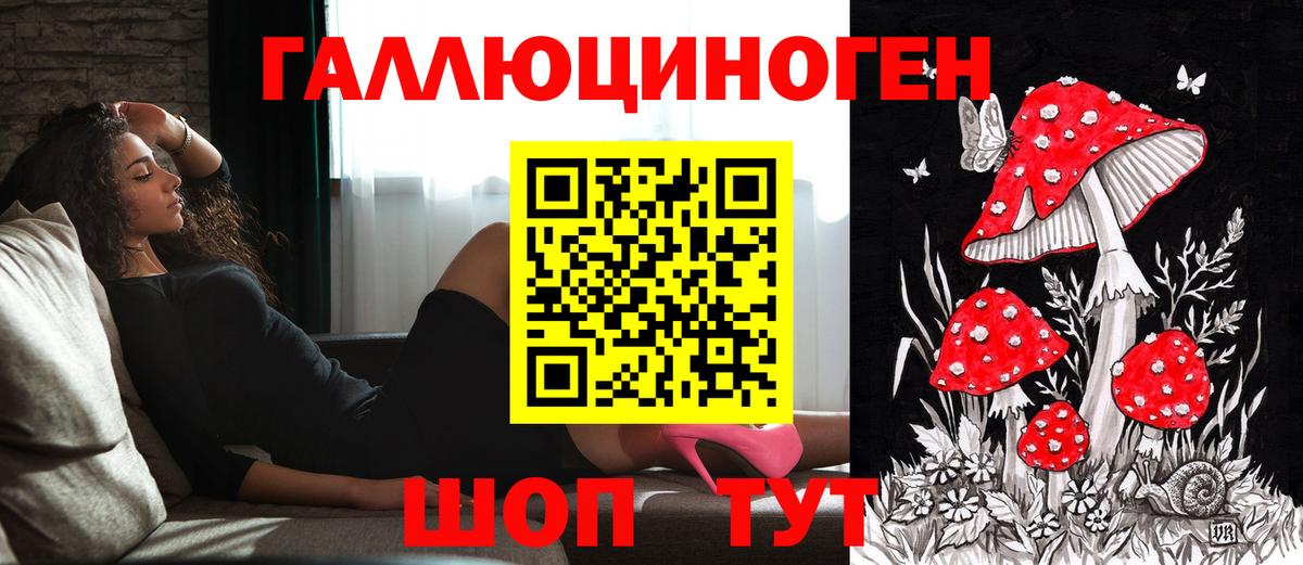 Галлюциногенные грибы MAGIC MUSHROOMS  Вход с VPN  магазин    Псилоцибиновые грибы GOLDEN TEACHER  Луга 