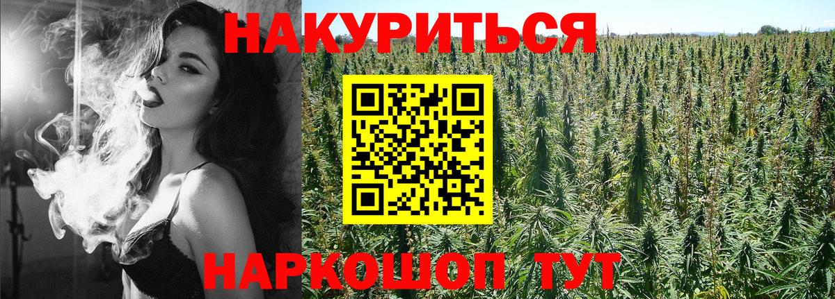 Канабис план Луга